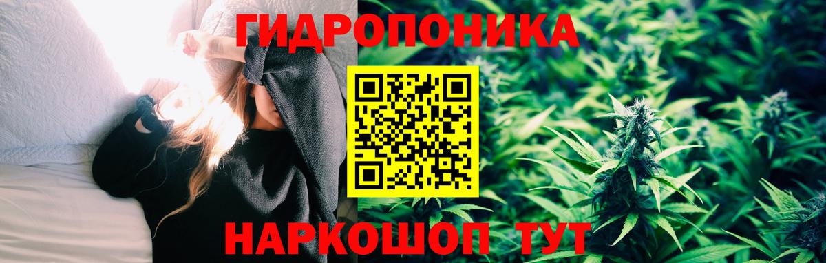 Углич  Шишки марихуана конопля  Вход с VPN  Конопля Amnesia  Конопля SATIVA & INDICA  Бошки Шишки семена 